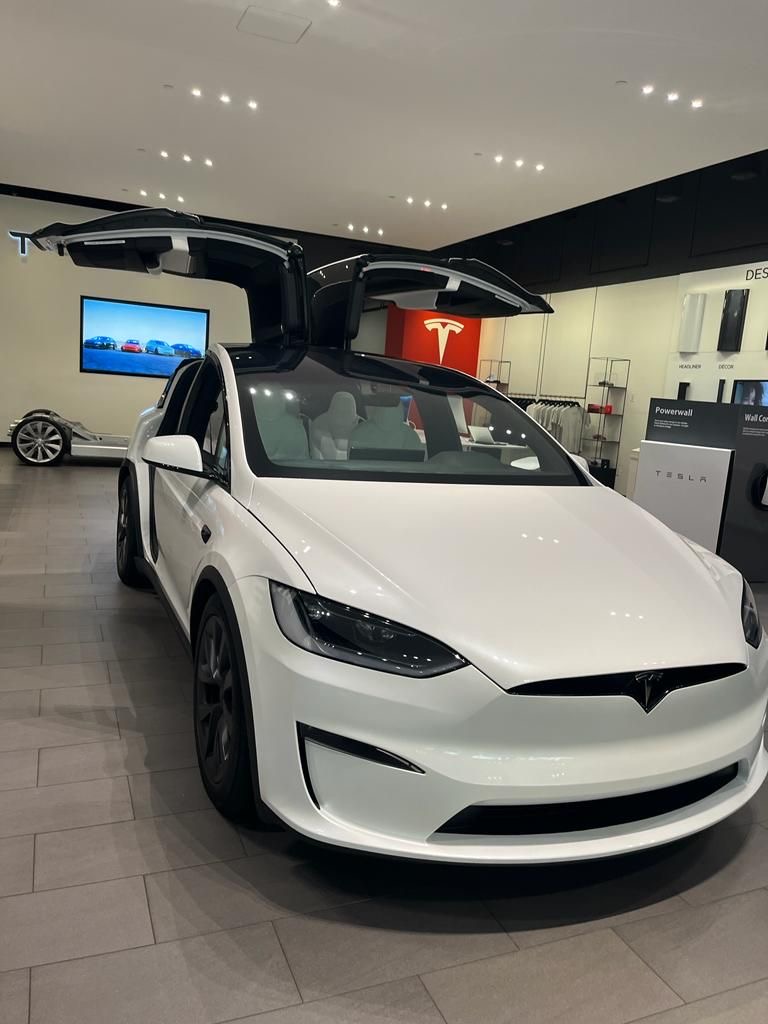 Model X